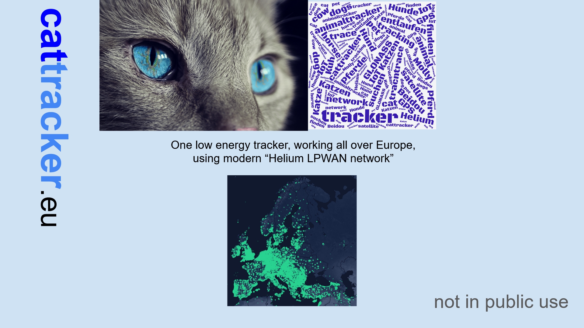 www.cattracker.eu